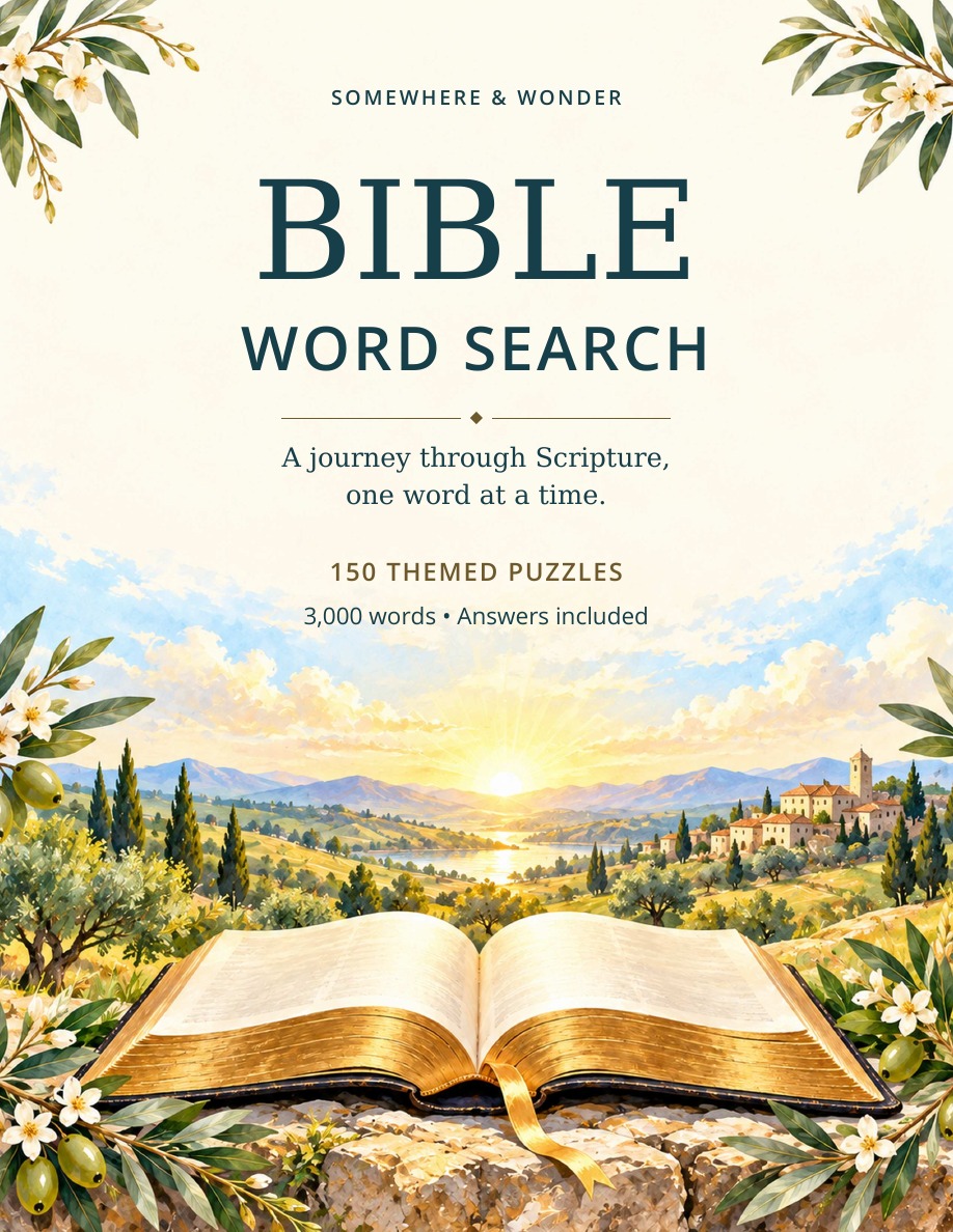 Cover of Bible Word Search by Somewhere & Wonder